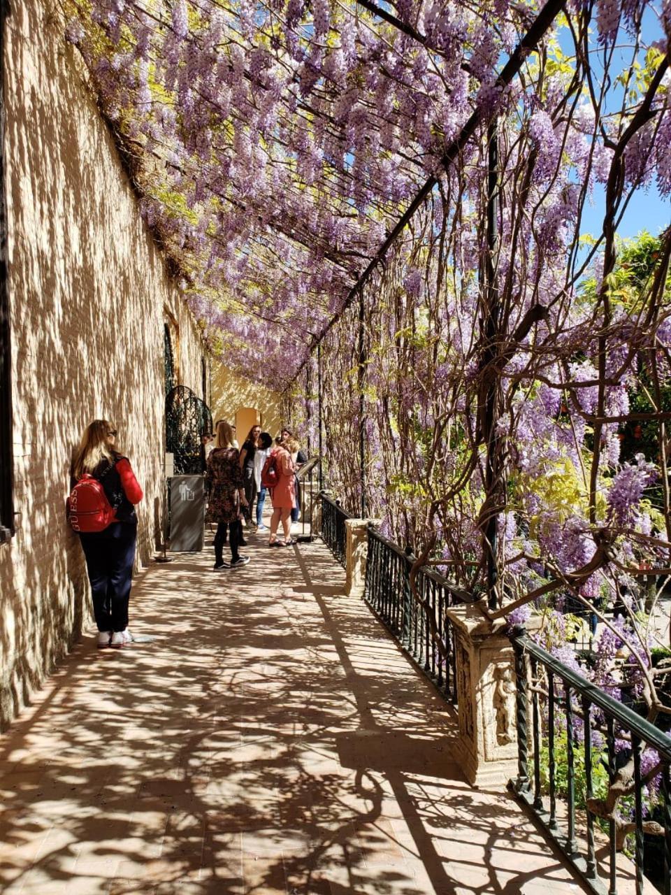 Apartamento Jardin De Santa Paula Севілья Екстер'єр фото